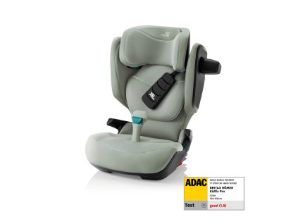 4000984000986 brr023086 sage green 1 z345504z