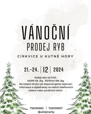 🌲 Už za měsíc zase začne naše několikadenní vánoční party! Přijďte si k nám pro čerstvou místní rybu na váš štědrovečerní...