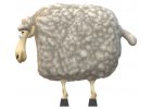 Ovce, Kozy