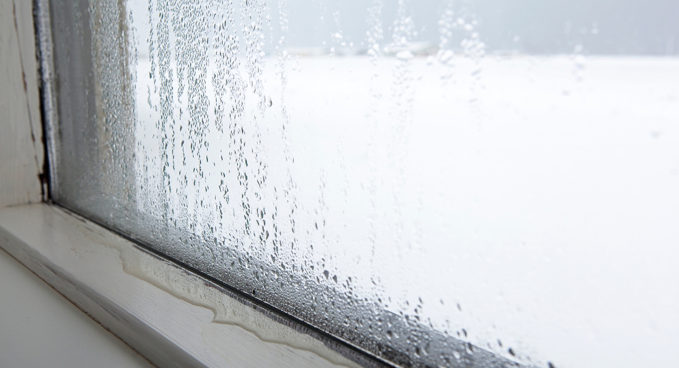 Jak se zbavit plísně na oknech a snížit vlhkost v bytě