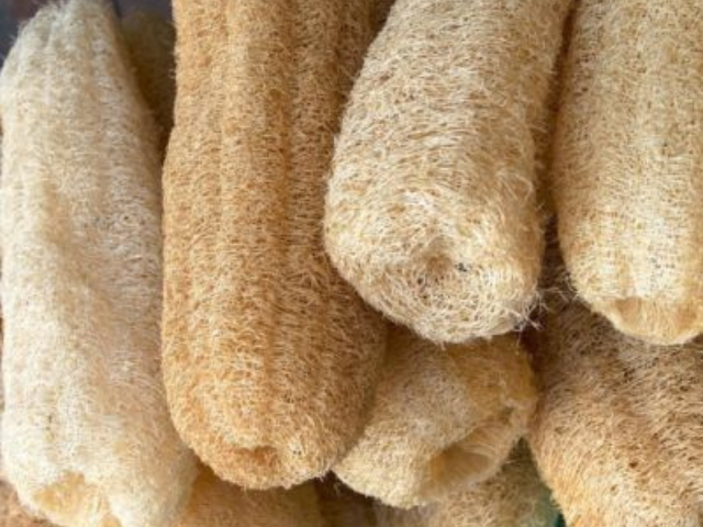 Co je lufa a jak ji využít na pět způsobů