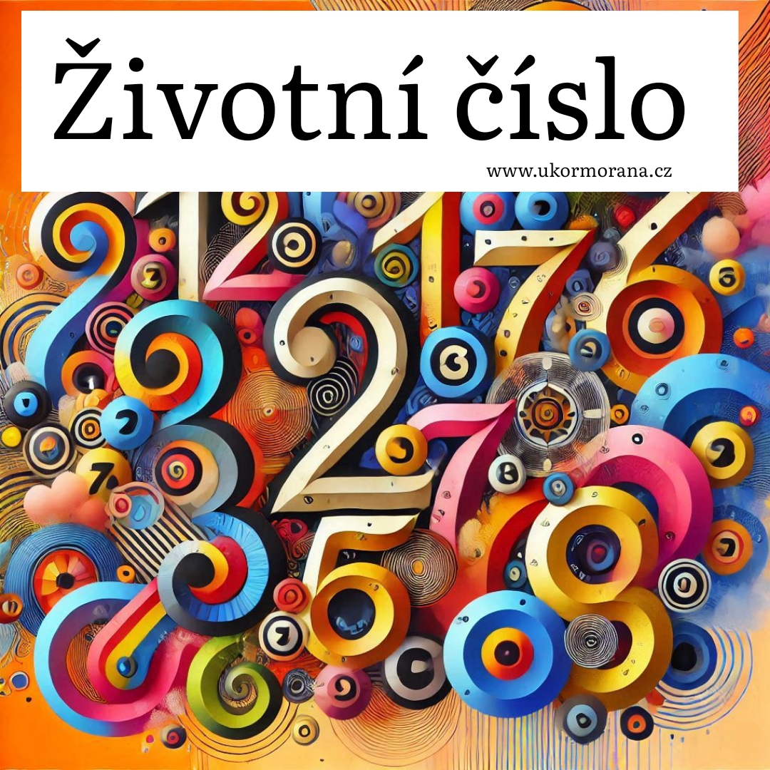 Životní číslo