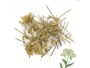 Řebříček květ se stonkem 50g