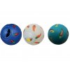 Snack ball pro hlodavce 7 cm