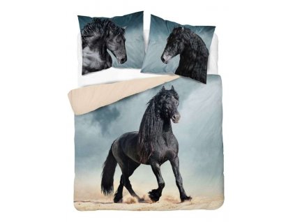 DETEXPOL Francouzské povlečení Black Horse Bavlna, 220/200, 2x70/80 cm