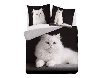 DETEXPOL Francouzské povlečení Perská kočka Bavlna, 220/200, 2x70/80 cm