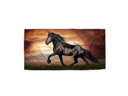 Sablio Ručník Friský kůň - 30x50 cm (Varianta Sablio Ručník Friský kůň - 30x50 cm)