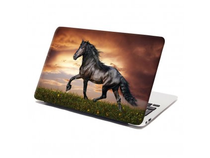 Samolepka na notebook Friský kůň