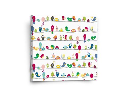 Sablio Obraz Ptáčci - 110x110 cm (Varianta Sablio Obraz Ptáčci - 110x110 cm)