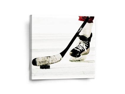 Sablio Obraz Lední hokej - 110x110 cm (Varianta Sablio Obraz Lední hokej - 110x110 cm)