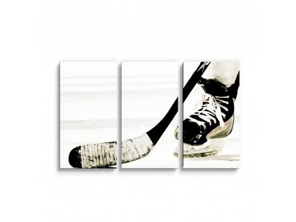 Obraz - 3-dílný Lední hokej