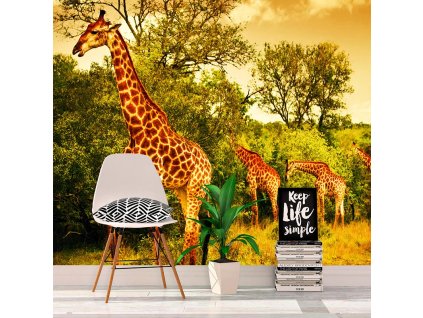 Sablio Tapeta Žirafy - 125x75 cm (Varianta Sablio Tapeta Žirafy - 125x75 cm)