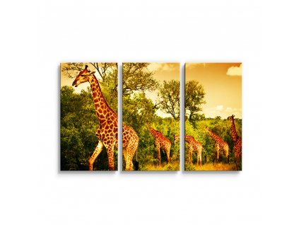 Sablio Obraz - 3-dílný Žirafy