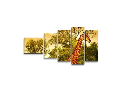 Sablio Obraz - 5-dílný Žirafy - 100x60 cm (Varianta Sablio Obraz - 5-dílný Žirafy - 100x60 cm)