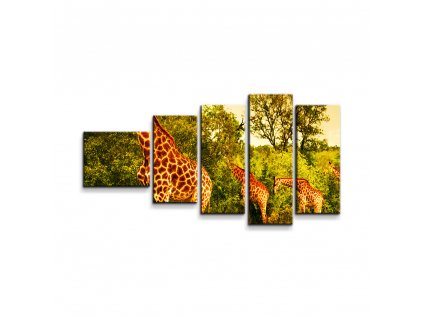 Sablio Obraz - 5-dílný Žirafy