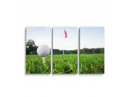 Sablio Nástěnný obraz - 3-dílný Golf