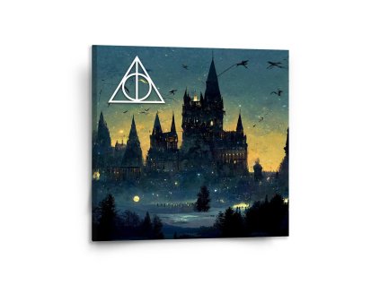 Sablio Obraz Noční Bradavice - 110x110 cm (Varianta Sablio Obraz Noční Bradavice - 110x110 cm)