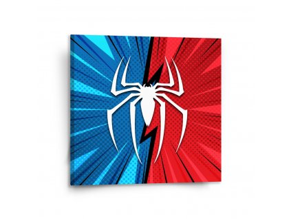 Sablio Obraz Spider - 110x110 cm (Varianta Sablio Obraz Spider - 110x110 cm)