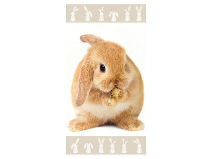 ST 228827 osuska kralicek hnedy