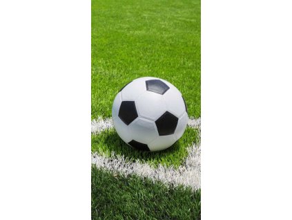 ST 223297 osuska fotbal