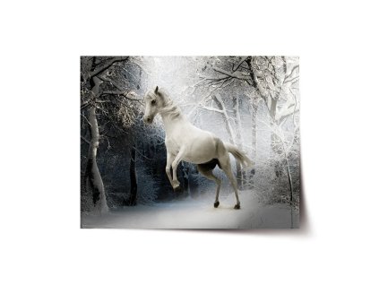 Sablio Plakát Bílý kůň - 120x80 cm (Varianta Sablio Plakát Bílý kůň - 120x80 cm)