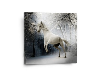 Sablio Obraz Bílý kůň - 110x110 cm (Varianta Sablio Obraz Bílý kůň - 110x110 cm)