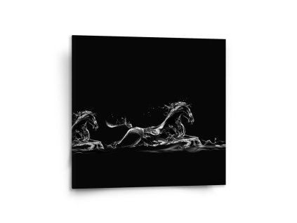 Sablio Obraz Vodní kůň - 110x110 cm (Varianta Sablio Obraz Vodní kůň - 110x110 cm)