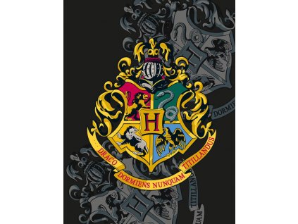 HALANTEX Fleece deka Harry Potter Polyester, 130/170 cm