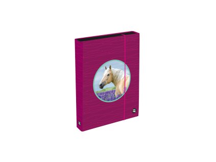 Box na sešity A4 Jumbo OXY Sherpy Pink