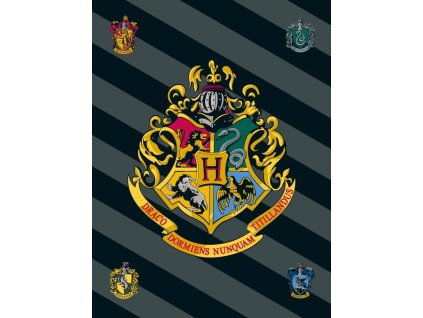 ST 120226 fleece deka harry potter hp067