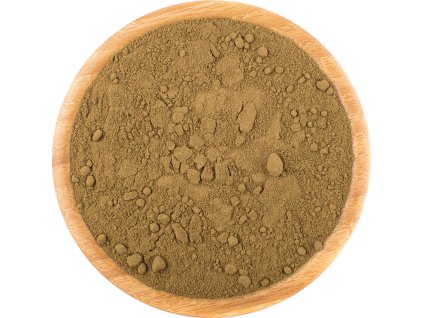 Ginko Biloba prášek (Množství 100 g)