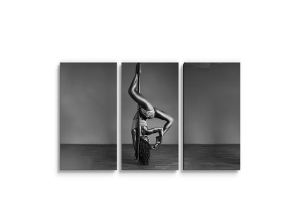 Sablio Obraz - 3-dílný Pole dancer - 120x80 cm (Varianta Sablio Obraz - 3-dílný Pole dancer - 120x80 cm)