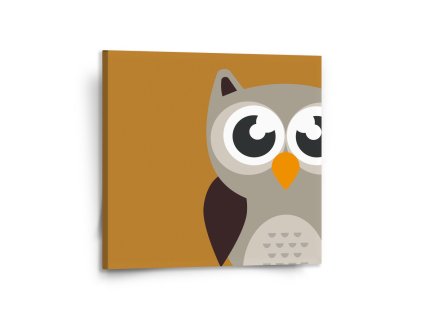 Sablio Obraz Kreslená sova - 110x110 cm (Varianta Sablio Obraz Kreslená sova - 110x110 cm)