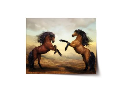 Sablio Plakát Vzpínající se koně - 120x80 cm (Varianta Sablio Plakát Vzpínající se koně - 120x80 cm)