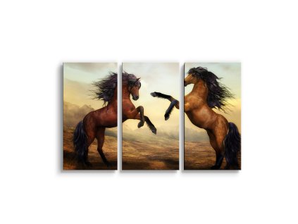 Sablio Obraz - 3-dílný Vzpínající se koně - 120x80 cm (Varianta Sablio Obraz - 3-dílný Vzpínající se koně - 120x80 cm)