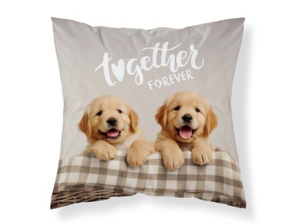 DL 449384 povlak na polstarek pejsci micro