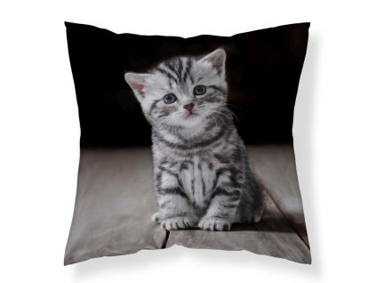 DL 449544 povlak na polstarek kotatko micro