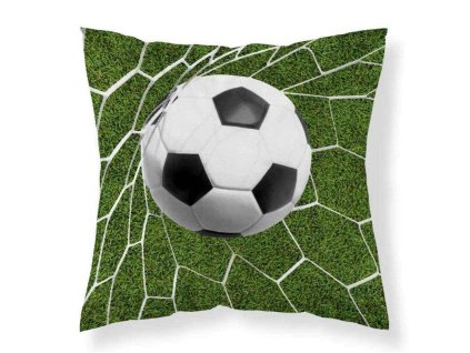 DL 449766 povlak na polstarek fotbal micro