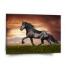 Sablio Obraz Friský kůň - 110x110 cm (Varianta Sablio Obraz Friský kůň - 110x110 cm)