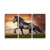 Sablio Obraz - 3-dílný Friský kůň - 120x80 cm (Varianta Sablio Obraz - 3-dílný Friský kůň - 120x80 cm)