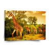 Sablio Obraz Žirafy - 110x110 cm (Varianta Sablio Obraz Žirafy - 110x110 cm)
