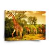 Sablio Obraz Žirafy - 110x110 cm (Varianta Sablio Obraz Žirafy - 110x110 cm)
