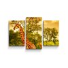 Sablio Obraz - 3-dílný Žirafy - 120x80 cm (Varianta Sablio Obraz - 3-dílný Žirafy - 120x80 cm)