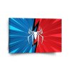Sablio Obraz Spider - 110x110 cm (Varianta Sablio Obraz Spider - 110x110 cm)