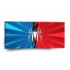 Sablio Obraz Spider - 110x110 cm (Varianta Sablio Obraz Spider - 110x110 cm)