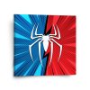 Sablio Obraz Spider - 110x110 cm (Varianta Sablio Obraz Spider - 110x110 cm)