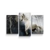 Sablio Obraz - 3-dílný Bílý kůň - 120x80 cm (Varianta Sablio Obraz - 3-dílný Bílý kůň - 120x80 cm)