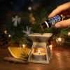 Tierra Verde Směs esenciálních olejů (10 ml) - Zimní snění - vůně pomeranče, skořice a hřebíčku (Varianta Zimní snění - vůně pomeranče, skořice a hřebíčku)