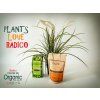 3b0de061e59e6f0e8ff572c95fa8bdb9 PLANTS