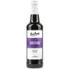 17646 boruvkovy sirup 500 ml